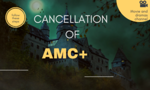 Read more about the article How to cancel AMC+: A step-by-step guide